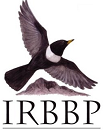 Irish rare breeding birds panel Logo